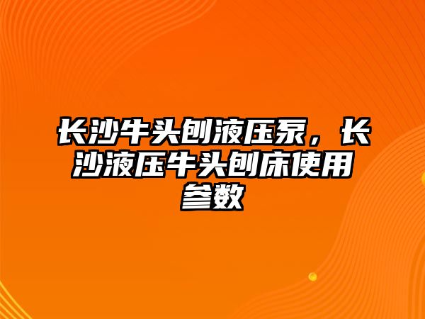 長沙牛頭刨液壓泵，長沙液壓牛頭刨床使用參數