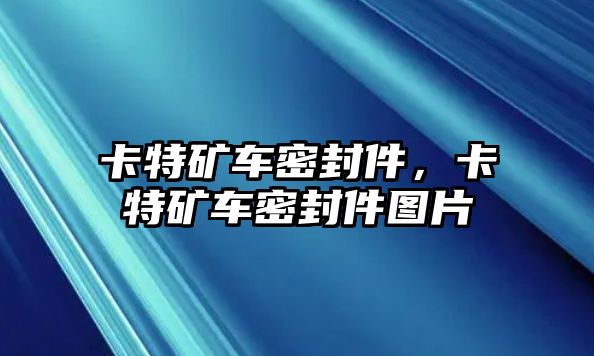 卡特礦車密封件，卡特礦車密封件圖片