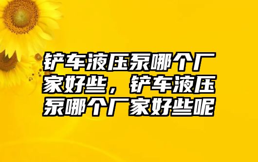 鏟車液壓泵哪個廠家好些，鏟車液壓泵哪個廠家好些呢