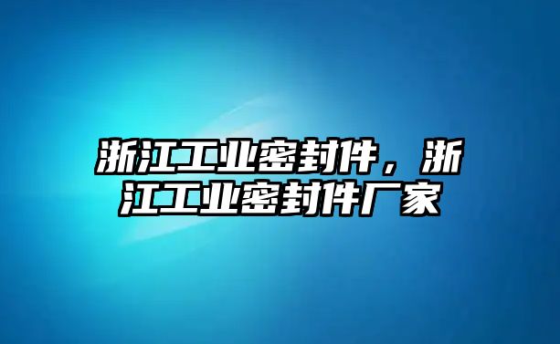 浙江工業(yè)密封件，浙江工業(yè)密封件廠家