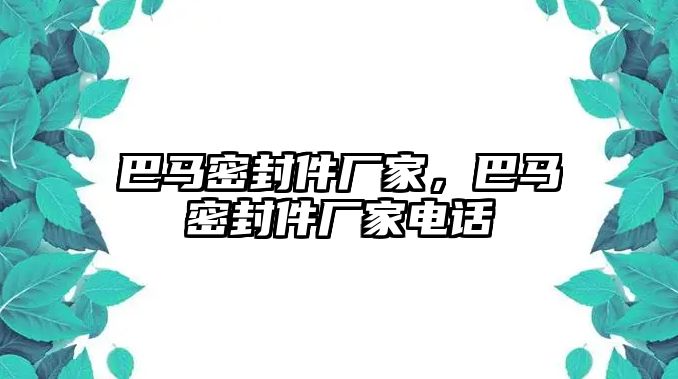 巴馬密封件廠家，巴馬密封件廠家電話