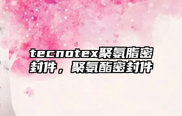 tecnotex聚氨脂密封件，聚氨酯密封件