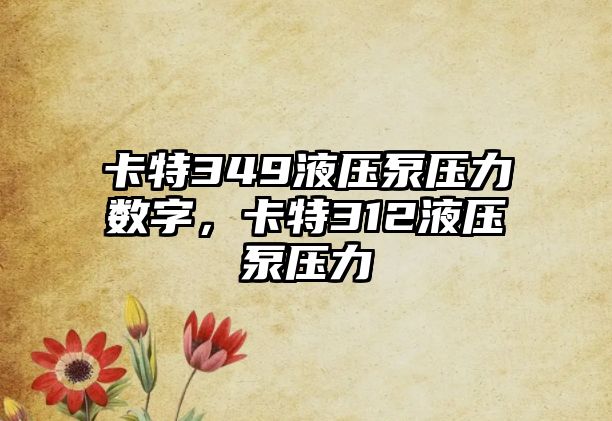 卡特349液壓泵壓力數(shù)字，卡特312液壓泵壓力