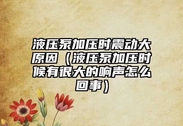 液壓泵加壓時震動大原因（液壓泵加壓時候有很大的響聲怎么回事）