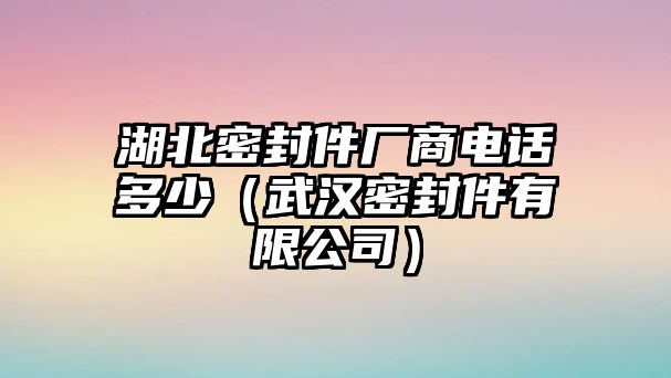 湖北密封件廠商電話多少（武漢密封件有限公司）