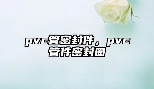 pvc管密封件，pvc管件密封圈