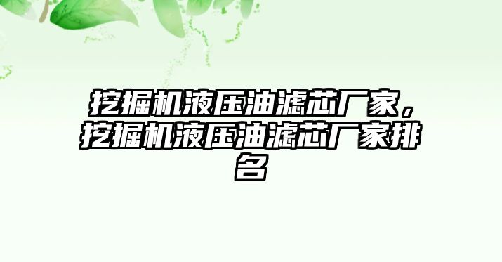 挖掘機液壓油濾芯廠家，挖掘機液壓油濾芯廠家排名