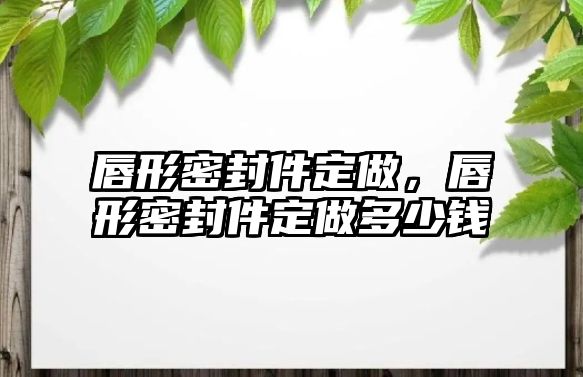 唇形密封件定做，唇形密封件定做多少錢(qián)