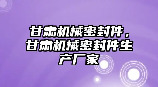 甘肅機械密封件，甘肅機械密封件生產廠家