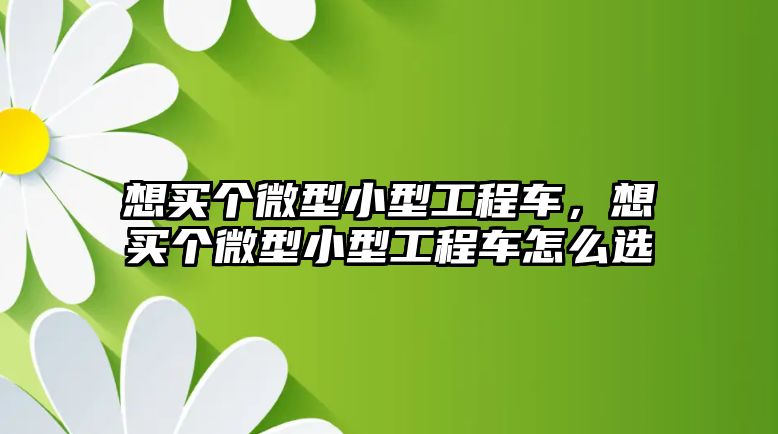 想買個(gè)微型小型工程車，想買個(gè)微型小型工程車怎么選