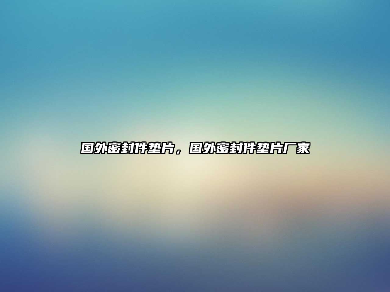 國(guó)外密封件墊片，國(guó)外密封件墊片廠家