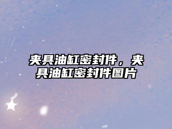 夾具油缸密封件，夾具油缸密封件圖片