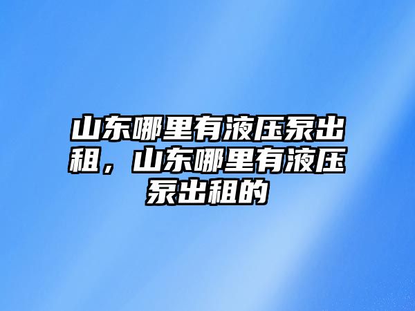 山東哪里有液壓泵出租，山東哪里有液壓泵出租的