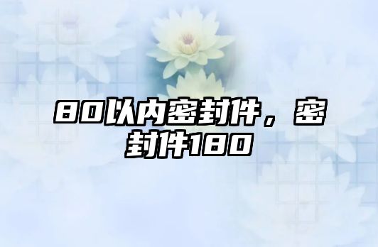 80以內(nèi)密封件，密封件180