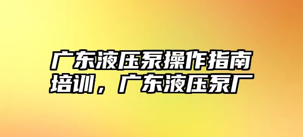 廣東液壓泵操作指南培訓(xùn)，廣東液壓泵廠