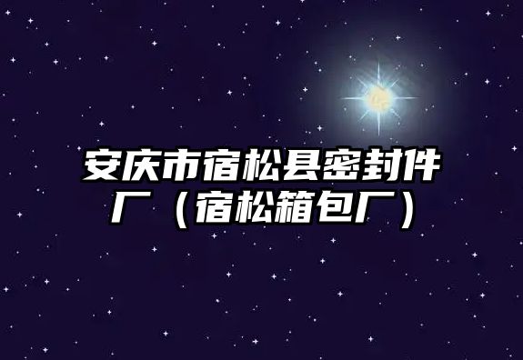 安慶市宿松縣密封件廠（宿松箱包廠）