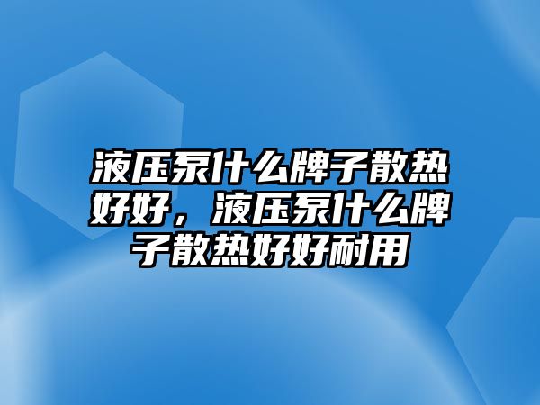 液壓泵什么牌子散熱好好，液壓泵什么牌子散熱好好耐用