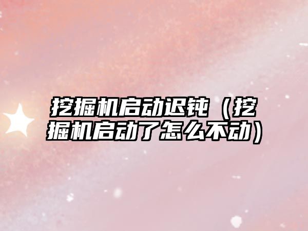 挖掘機啟動遲鈍（挖掘機啟動了怎么不動）