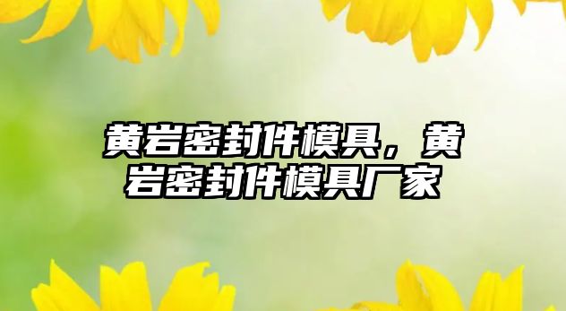 黃巖密封件模具，黃巖密封件模具廠家