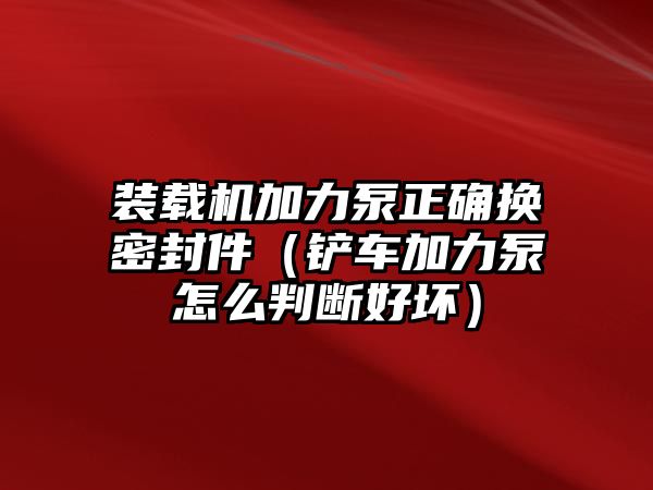 裝載機(jī)加力泵正確換密封件（鏟車加力泵怎么判斷好壞）