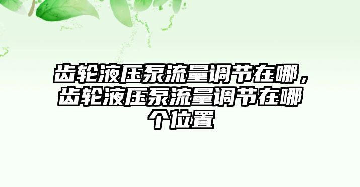 齒輪液壓泵流量調(diào)節(jié)在哪，齒輪液壓泵流量調(diào)節(jié)在哪個(gè)位置