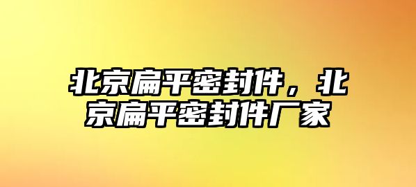 北京扁平密封件，北京扁平密封件廠家