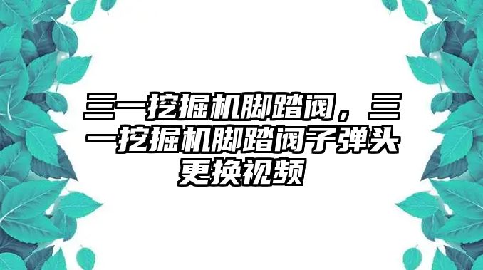 三一挖掘機(jī)腳踏閥，三一挖掘機(jī)腳踏閥子彈頭更換視頻