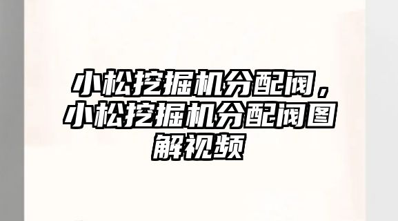 小松挖掘機分配閥，小松挖掘機分配閥圖解視頻