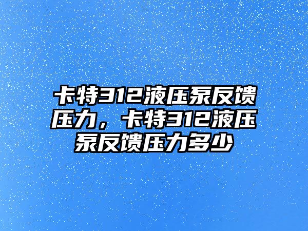 卡特312液壓泵反饋壓力，卡特312液壓泵反饋壓力多少