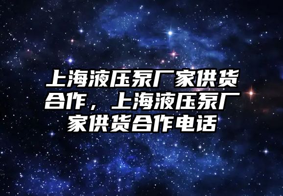 上海液壓泵廠家供貨合作，上海液壓泵廠家供貨合作電話