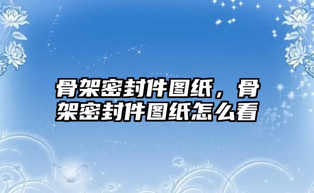 骨架密封件圖紙，骨架密封件圖紙怎么看