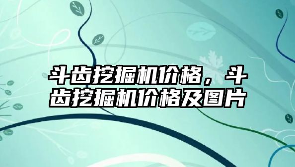 斗齒挖掘機價格，斗齒挖掘機價格及圖片