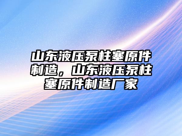 山東液壓泵柱塞原件制造，山東液壓泵柱塞原件制造廠家