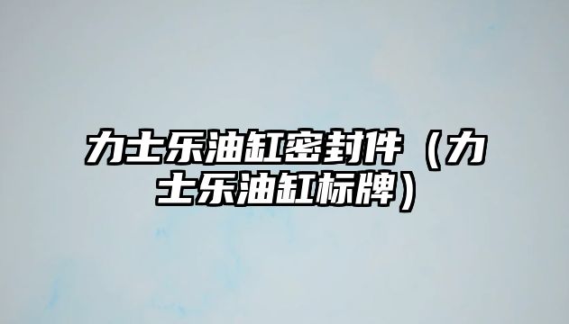 力士樂油缸密封件（力士樂油缸標(biāo)牌）