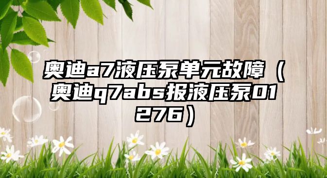 奧迪a7液壓泵單元故障（奧迪q7abs報(bào)液壓泵01276）