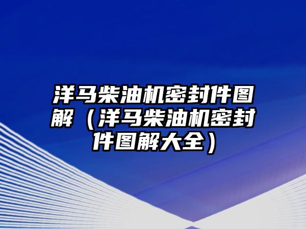 洋馬柴油機密封件圖解（洋馬柴油機密封件圖解大全）