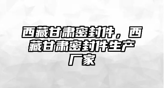 西藏甘肅密封件，西藏甘肅密封件生產(chǎn)廠家