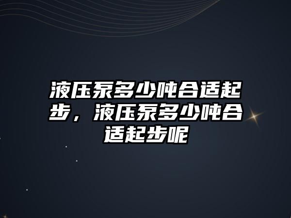 液壓泵多少噸合適起步，液壓泵多少噸合適起步呢