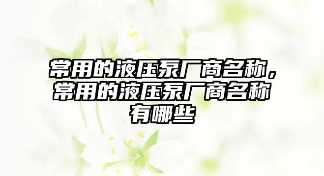 常用的液壓泵廠商名稱，常用的液壓泵廠商名稱有哪些