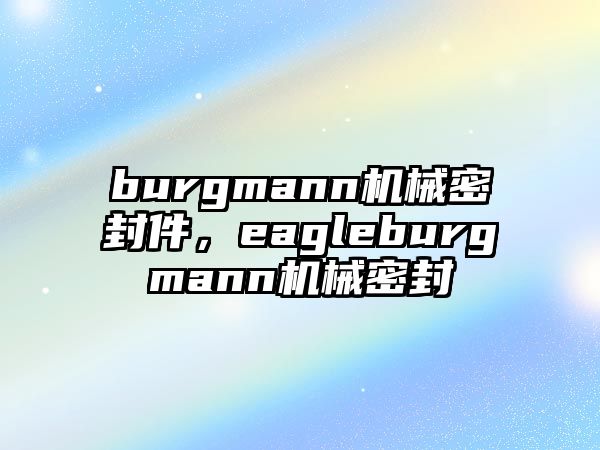 burgmann機(jī)械密封件，eagleburgmann機(jī)械密封