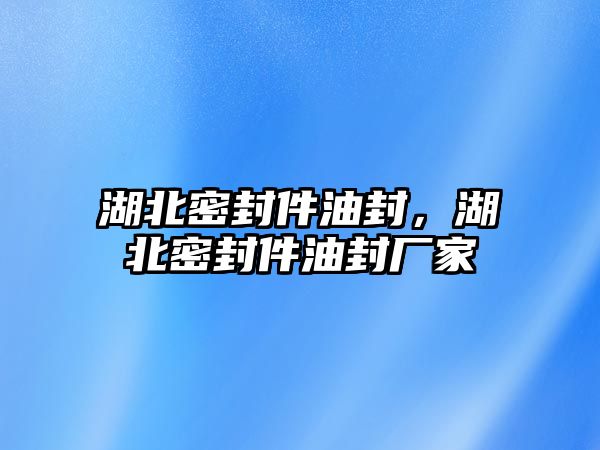 湖北密封件油封，湖北密封件油封廠家