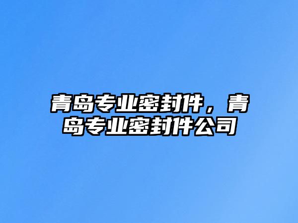 青島專業(yè)密封件，青島專業(yè)密封件公司