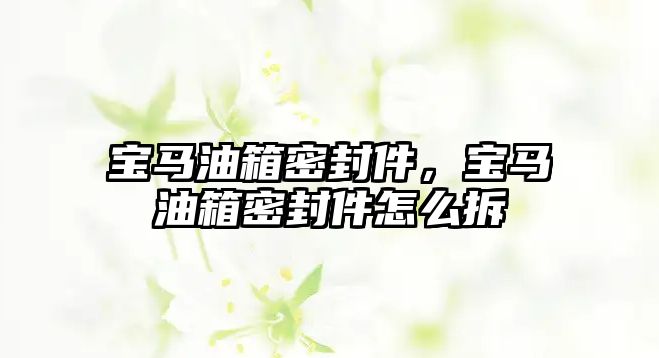 寶馬油箱密封件，寶馬油箱密封件怎么拆