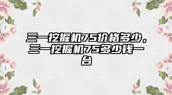 三一挖掘機75價格多少，三一挖掘機75多少錢一臺