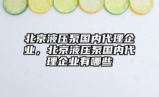 北京液壓泵國(guó)內(nèi)代理企業(yè)，北京液壓泵國(guó)內(nèi)代理企業(yè)有哪些