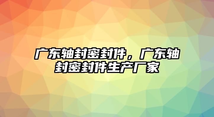 廣東軸封密封件，廣東軸封密封件生產(chǎn)廠家