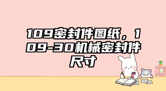 109密封件圖紙，109-30機(jī)械密封件尺寸