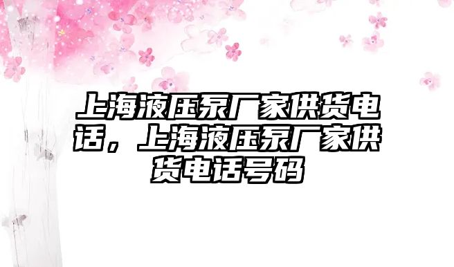 上海液壓泵廠家供貨電話，上海液壓泵廠家供貨電話號(hào)碼