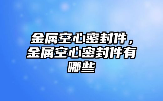 金屬空心密封件，金屬空心密封件有哪些