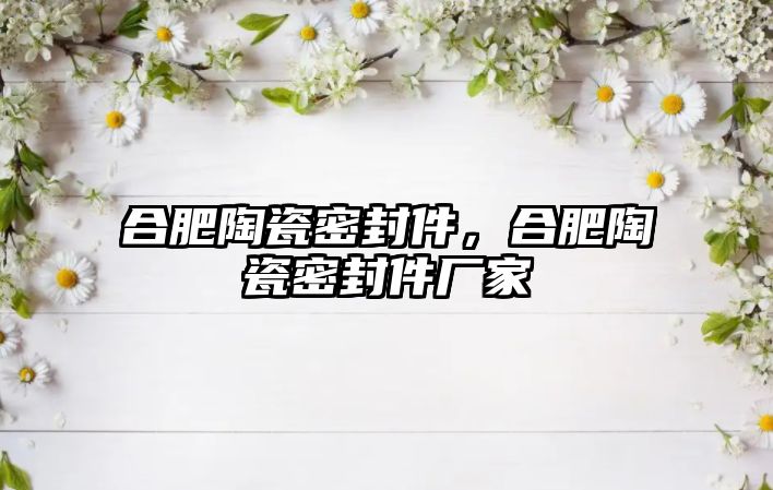 合肥陶瓷密封件，合肥陶瓷密封件廠(chǎng)家